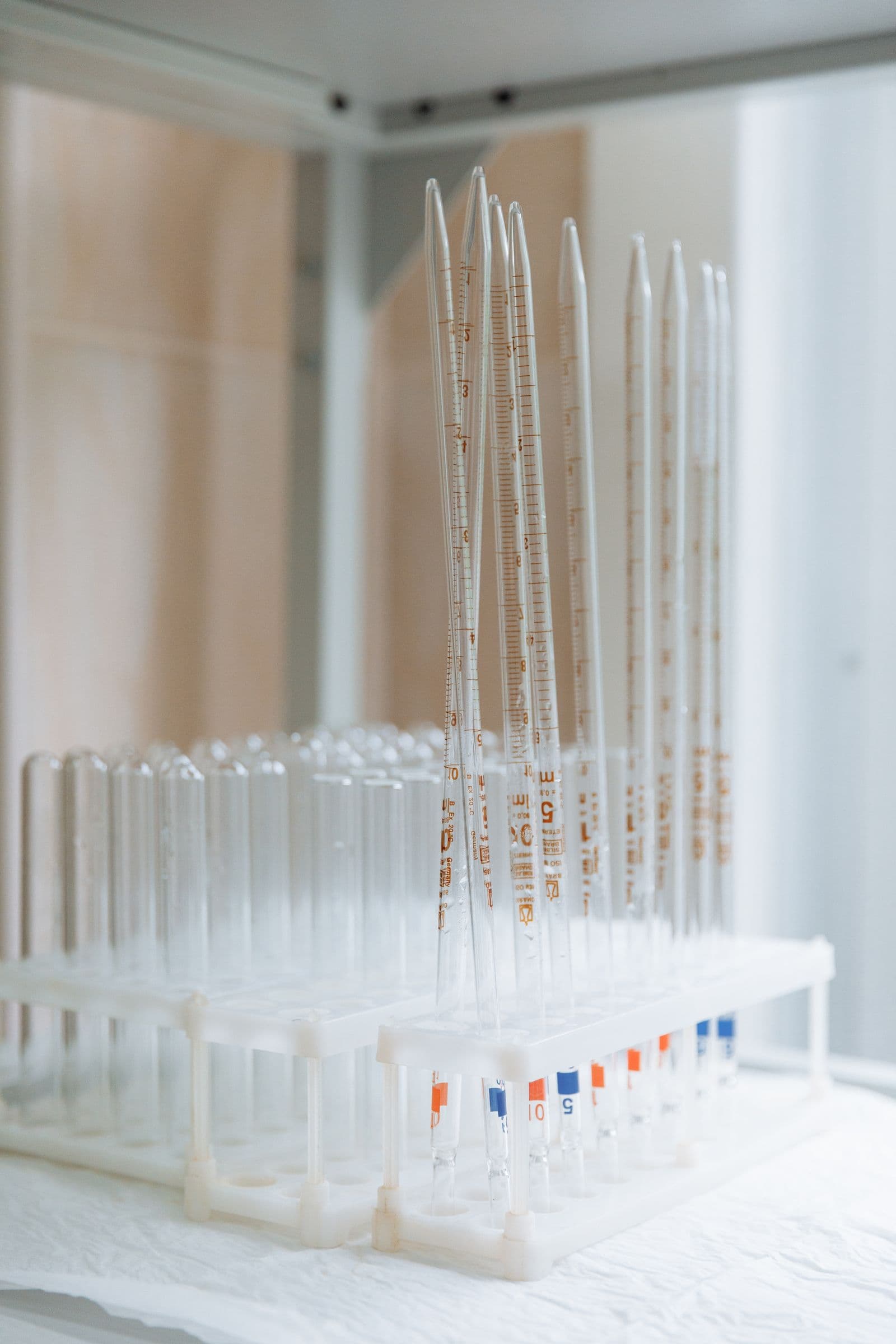 Clean glass test tubes in a laboratory rack